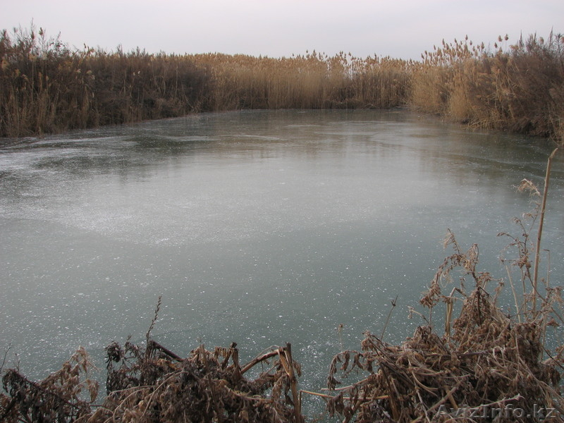 Продам Участок недорог и выгодно, село Маловодное - Изображение #2, Объявление #469024