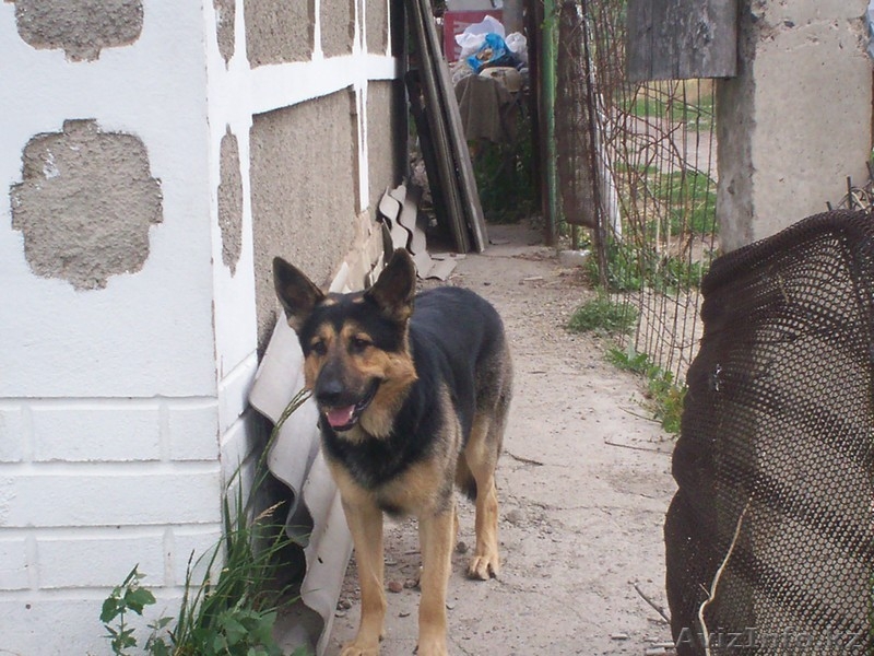 74 Татьяна 25  вильма 1974  - Изображение #1, Объявление #470618