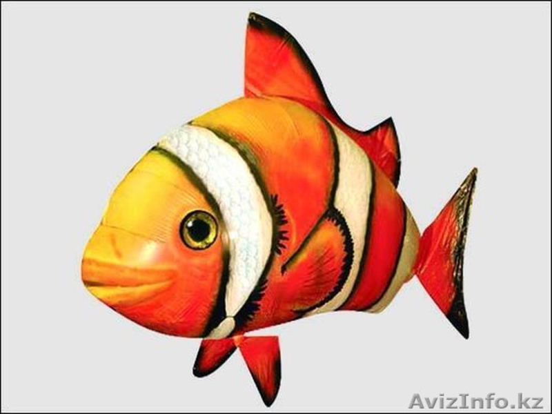 Хотите новых ощущений, удивления и восторга у ваших детей, близких и друзей, тог - Изображение #3, Объявление #478468