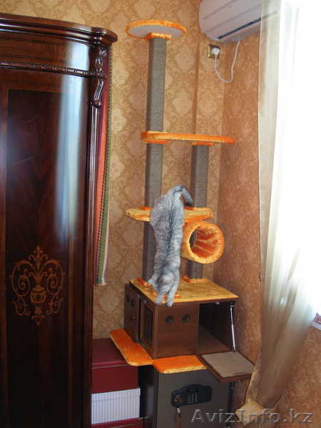 изготовление разборных домиков для кошек - Изображение #5, Объявление #456534