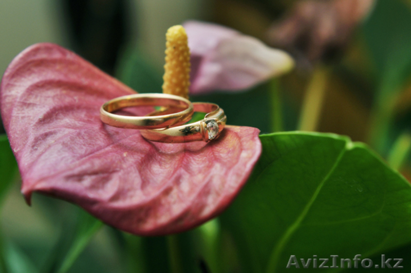 Свадебный фотограф Диана Голоскова. Услуги профессионального фотограф - Изображение #3, Объявление #305651