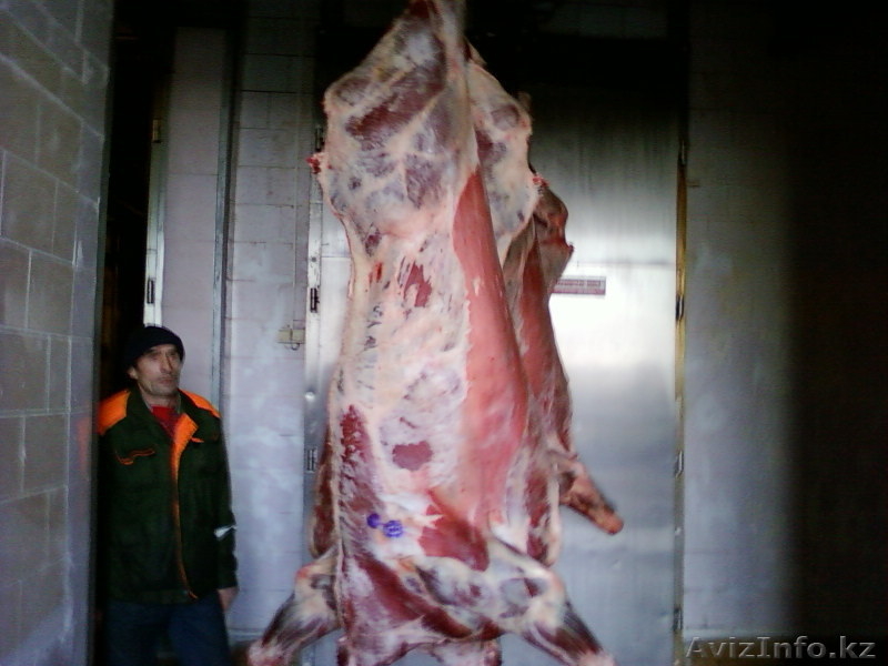 мясо говядины и свинины оптом - Изображение #1, Объявление #515362
