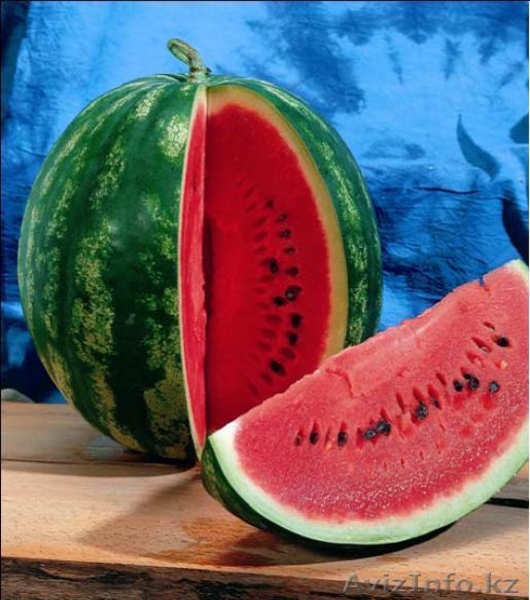 Семена, удобрения, суперабсорбент - Изображение #3, Объявление #499841