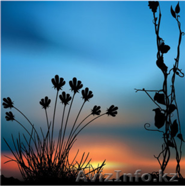 Курсы Компьютерной графики от профессионалов! - Изображение #4, Объявление #542337