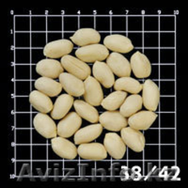 Орехи и сухофрукты из Аргентины - Изображение #5, Объявление #522003