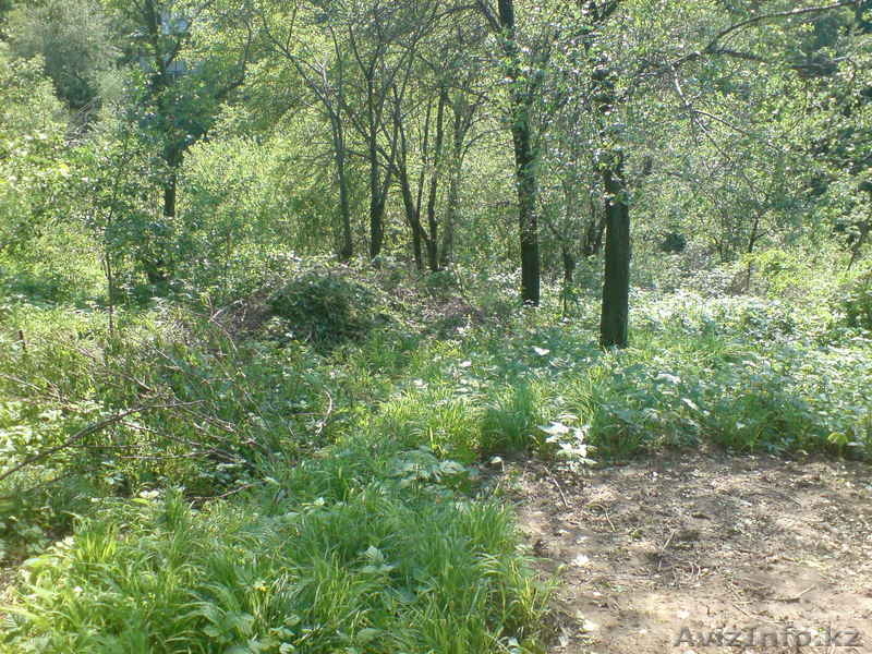 медеуский район - Изображение #3, Объявление #536551