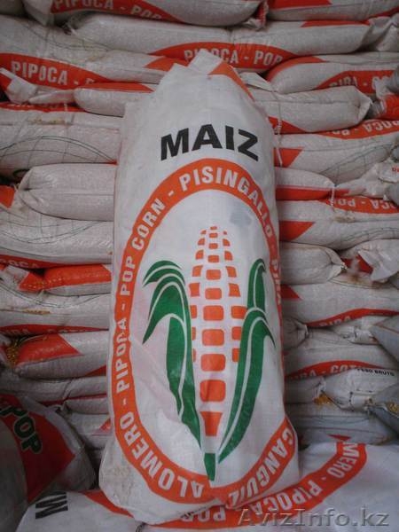 Кукуруза для попкорна из Аргентины - Изображение #3, Объявление #522015