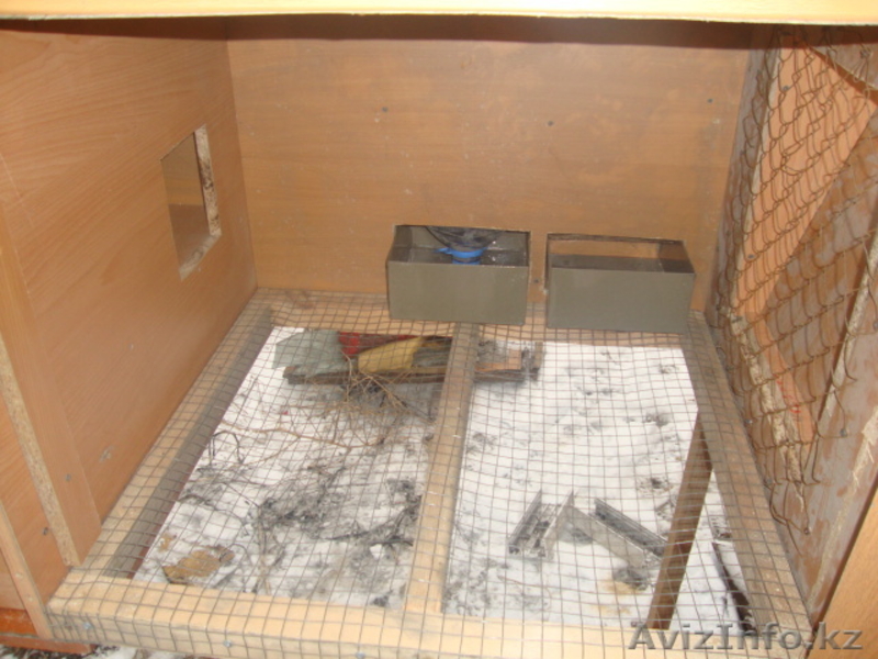 Клетки для кроликов. - Изображение #3, Объявление #579966