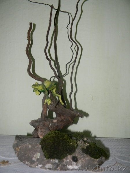 Лягушка на отдыхе - Изображение #1, Объявление #595933