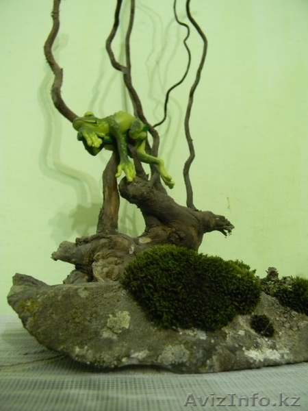 Лягушка на отдыхе - Изображение #3, Объявление #595933