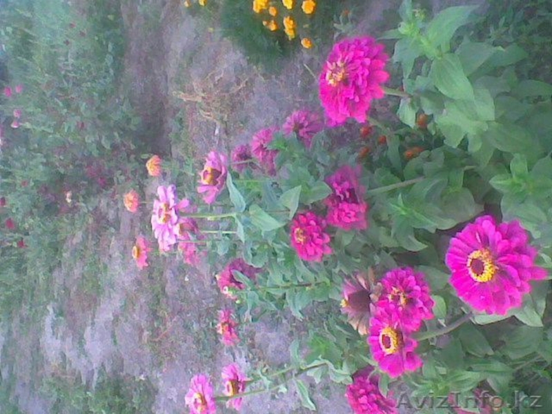 Срочно, торг. Илийский р-н, п Байсерке, Кенжекулова 4 - Изображение #8, Объявление #564052