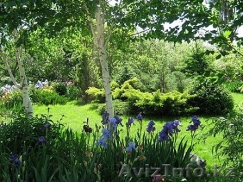 продам дом-дачу в ИЯФ - Изображение #2, Объявление #562150