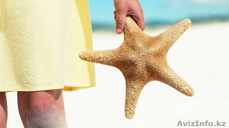 ТОО "АКВАТОРИЯ ТУР " - Изображение #3, Объявление #609905