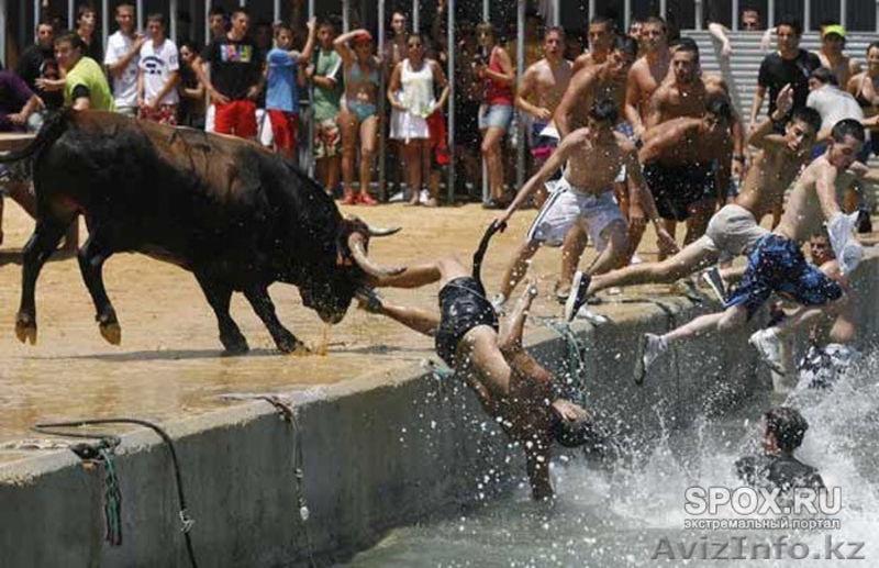 Летняя аренда дома на 1 линии моря Коста-Бланка - Изображение #9, Объявление #609096