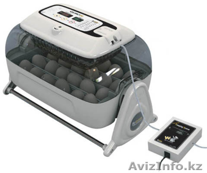 инкубаторы и брудеры - Изображение #3, Объявление #617430