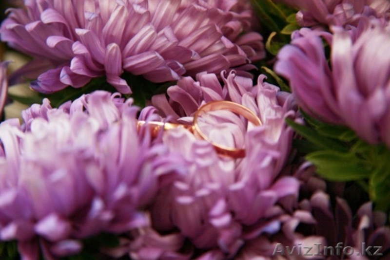 ФОТОСЪЕМКА ваших ТОРЖЕСТВ и СОБЫТИЙ! - Изображение #8, Объявление #456558