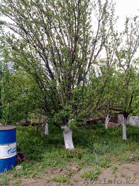 Дача по верхней каскеленской трассе - Изображение #4, Объявление #645580