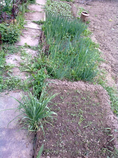 Дача по верхней каскеленской трассе - Изображение #5, Объявление #645580