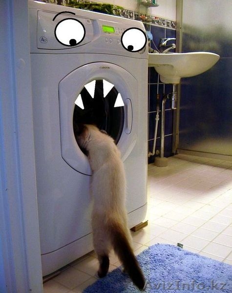 Высококачественные ремонт и установка кондиционреов, стиральных машин, газплит.. - Изображение #1, Объявление #645121