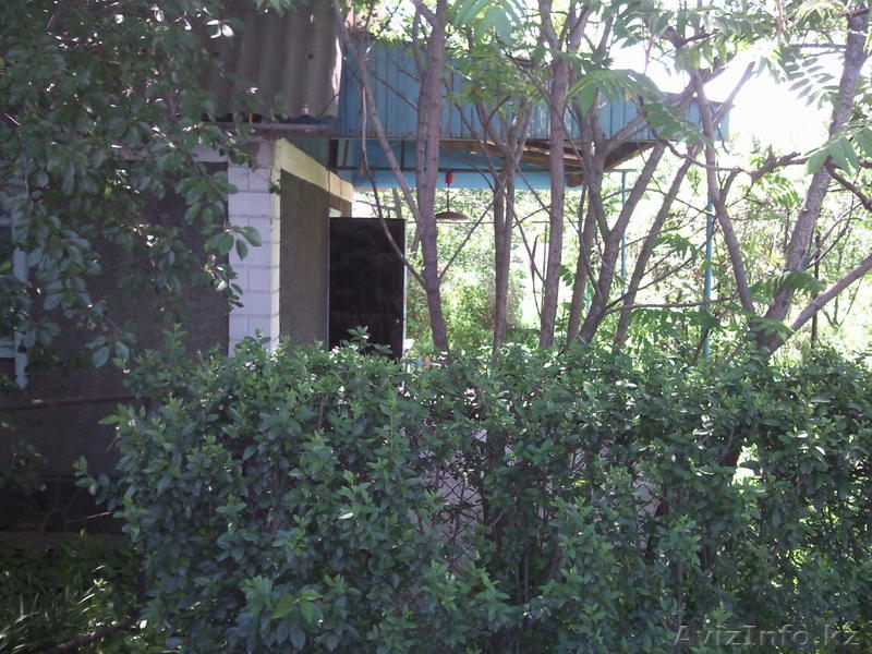 продам дачу в районе поселка Алгабас - Изображение #3, Объявление #666187