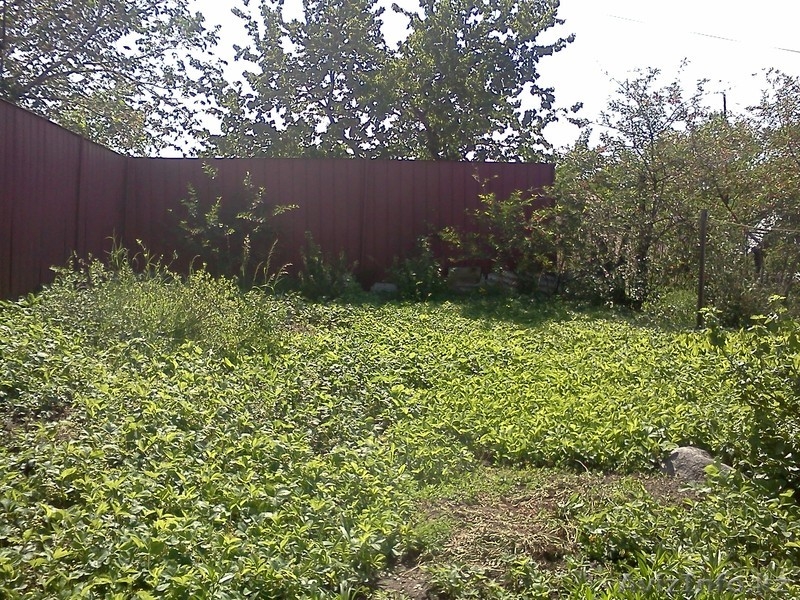 участок в верхней части города - Изображение #3, Объявление #671141