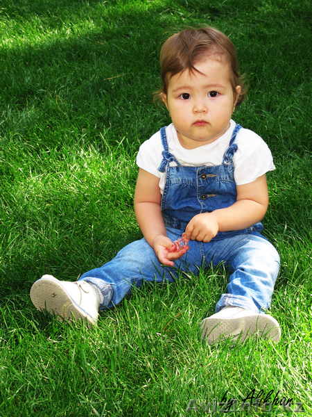 Мусатаев Алихан Келешекулы 87755050415 - Изображение #2, Объявление #648552