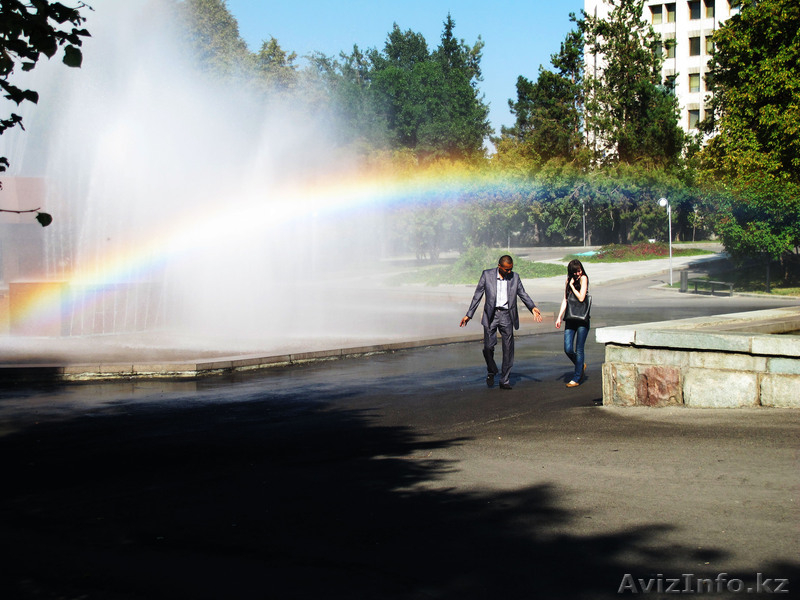 Мусатаев Алихан Келешекулы 87755050415 - Изображение #1, Объявление #648552