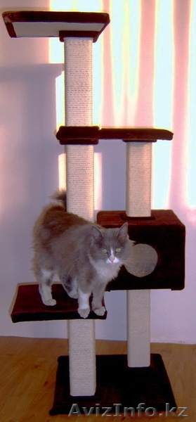 домики для кошек разборные - Изображение #5, Объявление #670497