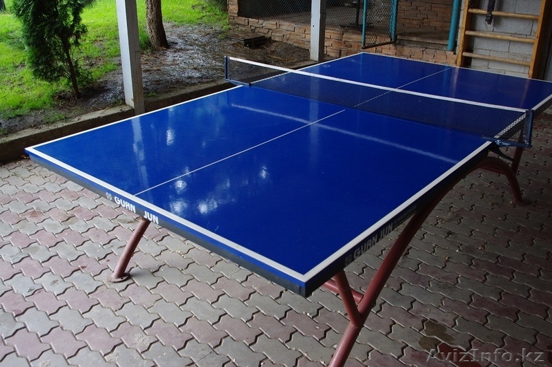 Продам теннисный стол - Изображение #1, Объявление #686406