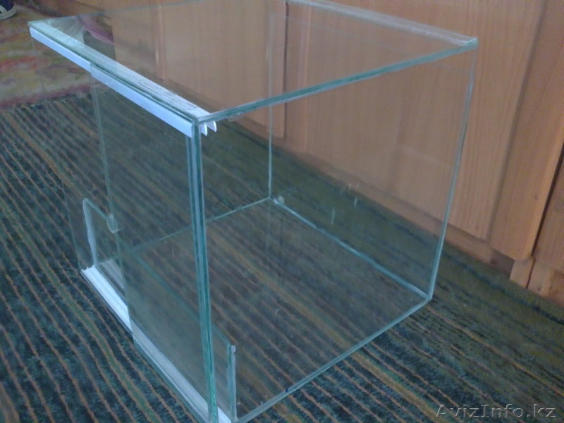 террариум для пауков - Изображение #2, Объявление #695064