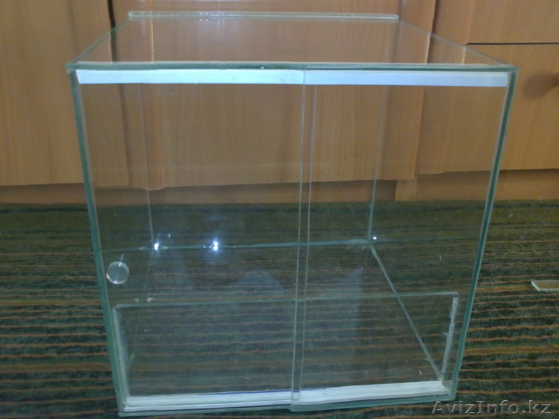 террариум для пауков - Изображение #1, Объявление #695064