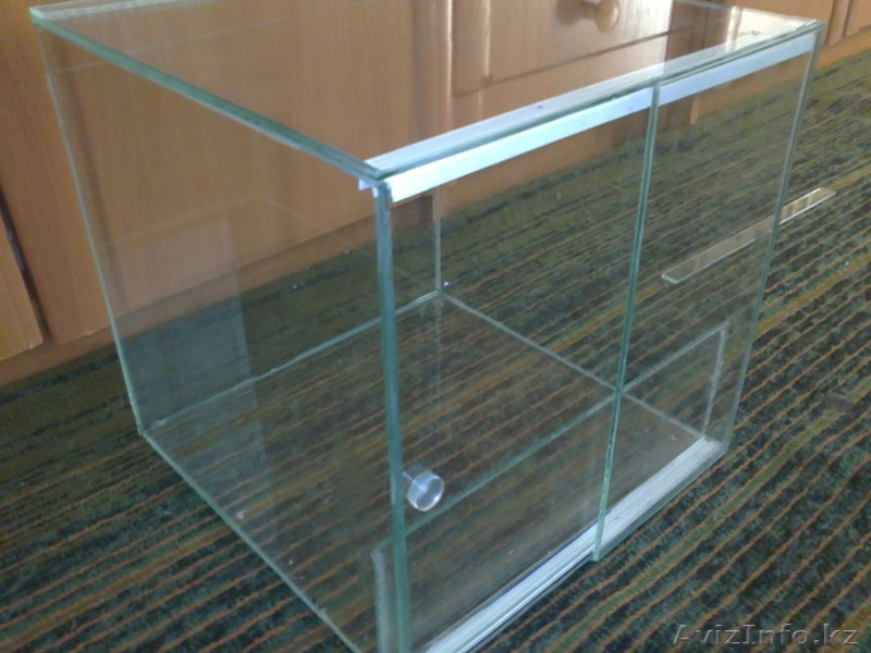 террариум для пауков - Изображение #3, Объявление #695064