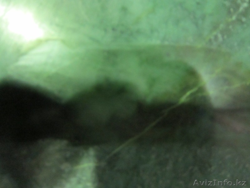 нефрит, чароит, яшма - Изображение #1, Объявление #655388