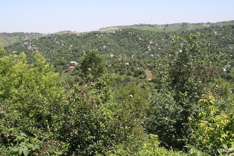 Земельный участок. Ары-беры, все дела. - Изображение #1, Объявление #688441