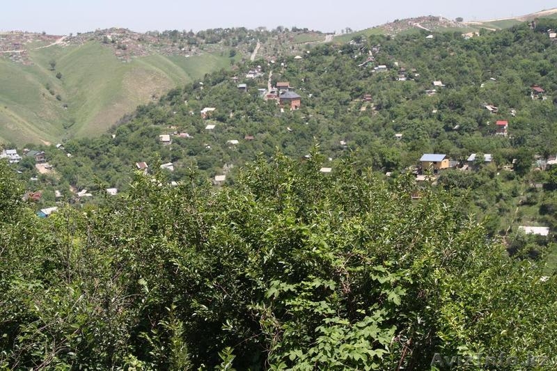 Земельный участок. Ары-беры, все дела. - Изображение #2, Объявление #688441