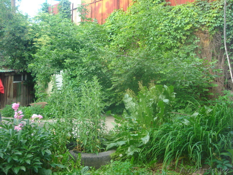 продам домик в районе первой алматы - Изображение #3, Объявление #699055