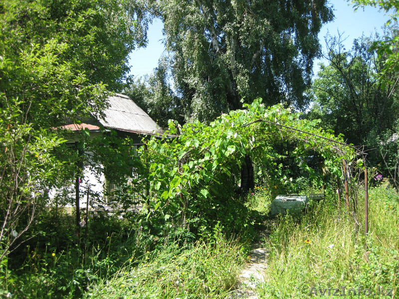 Срочно продам дачу в районе "Талгарские дачи". - Изображение #3, Объявление #721594