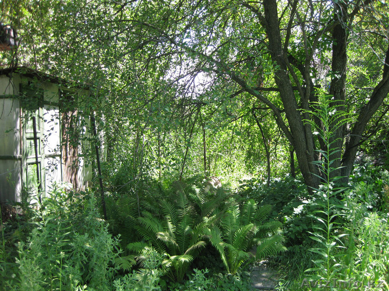 Срочно продам дачу в районе "Талгарские дачи". - Изображение #4, Объявление #721594