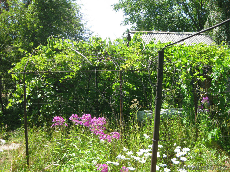 Срочно продам дачу в районе "Талгарские дачи". - Изображение #5, Объявление #721594