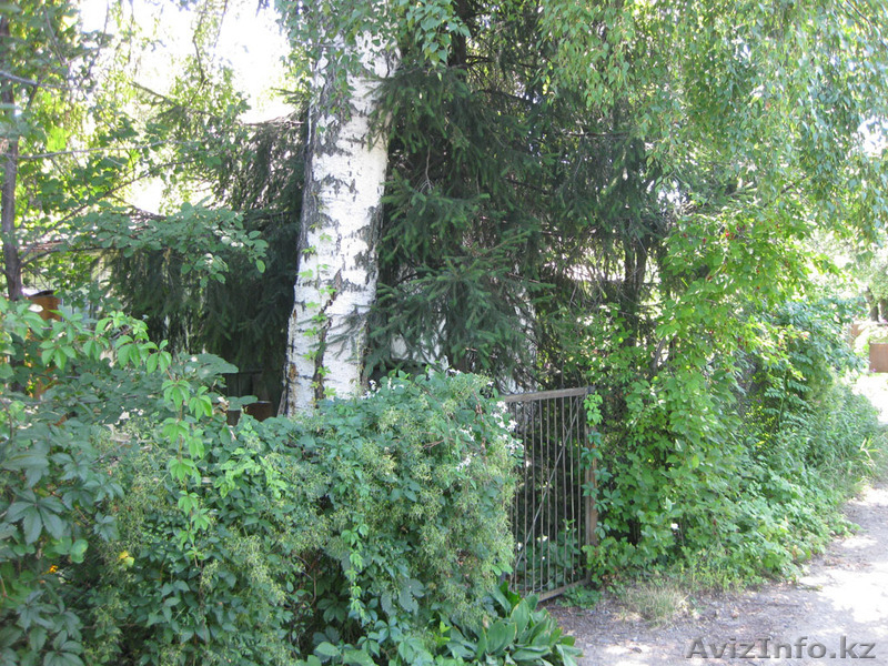 Срочно продам дачу в районе "Талгарские дачи". - Изображение #6, Объявление #721594