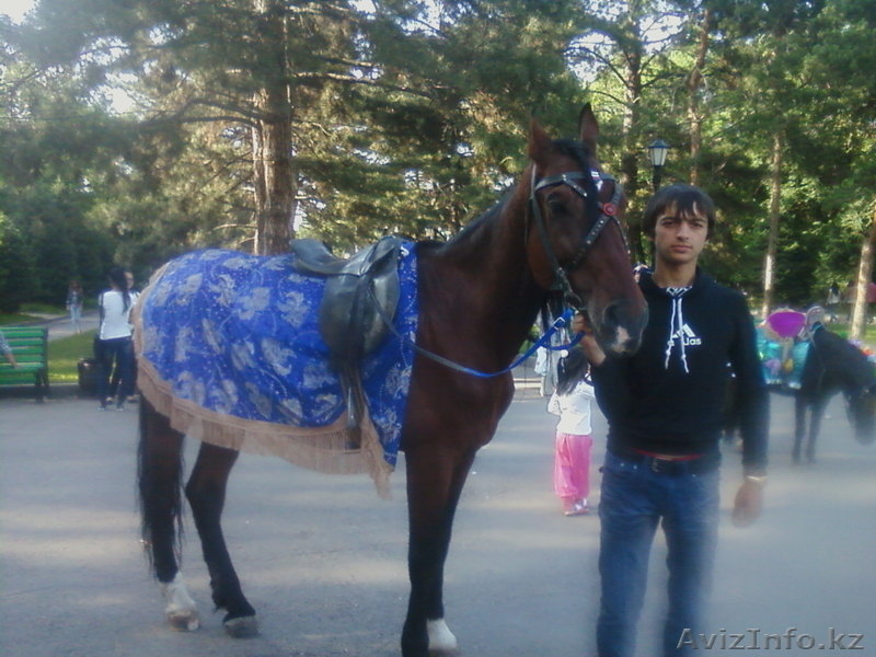 Настоящий отдых! - Изображение #1, Объявление #726769