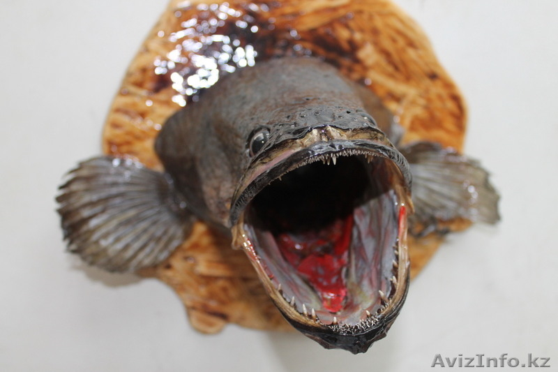 рыбы ручной работы - Изображение #3, Объявление #704607