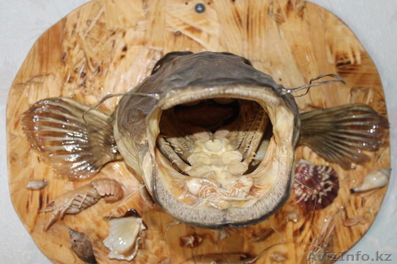 рыбы ручной работы - Изображение #5, Объявление #704607