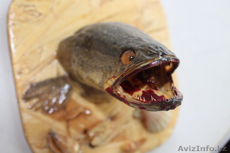 рыбы ручной работы - Изображение #7, Объявление #704607