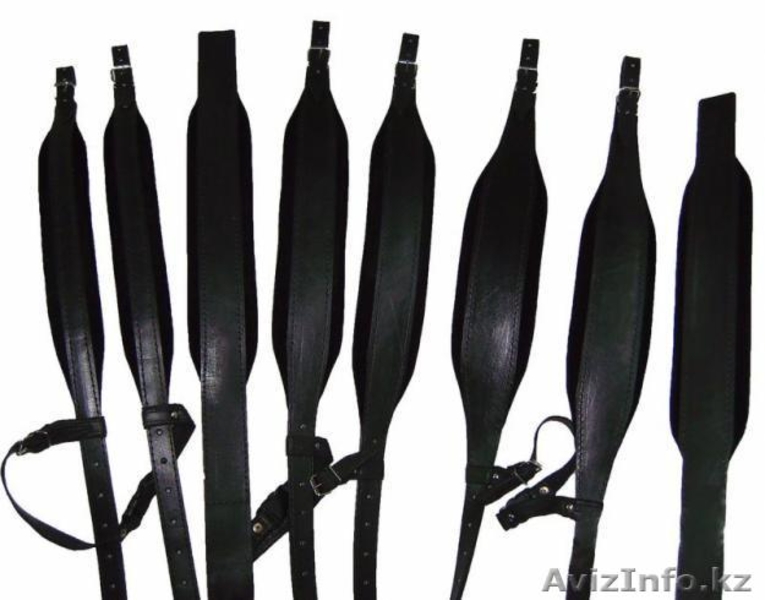 Аккордеоны, Баяны, Домры - новые и б.у. Реммни - Изображение #4, Объявление #724464