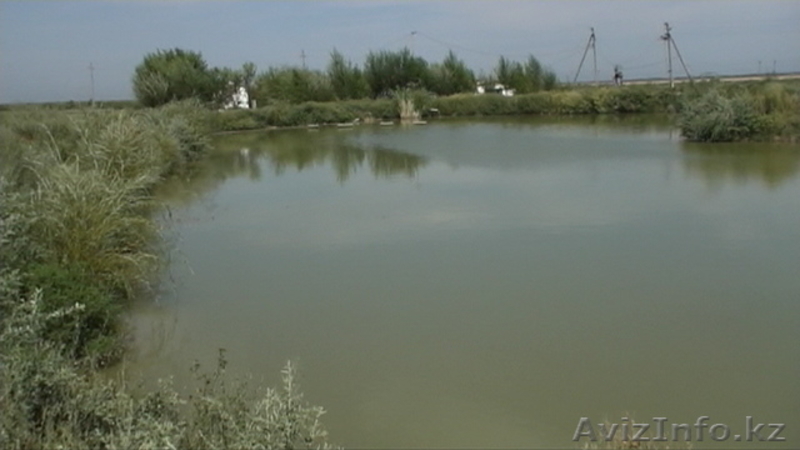 крестьянское хозяйство, земельный участок - Изображение #5, Объявление #741006