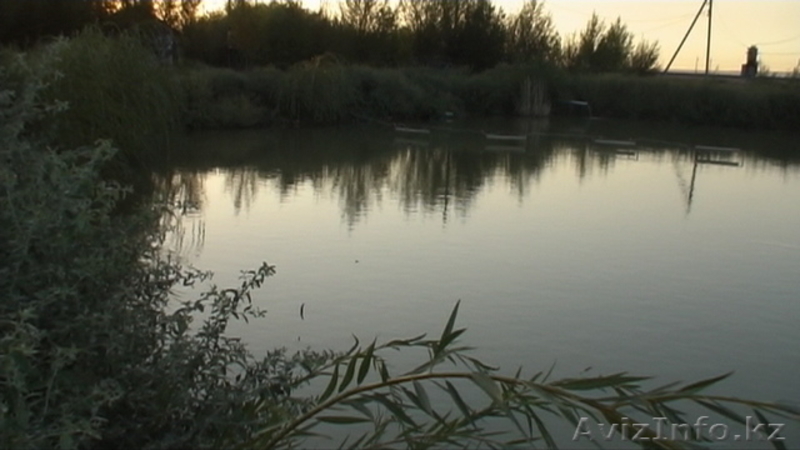 крестьянское хозяйство, земельный участок - Изображение #7, Объявление #741006