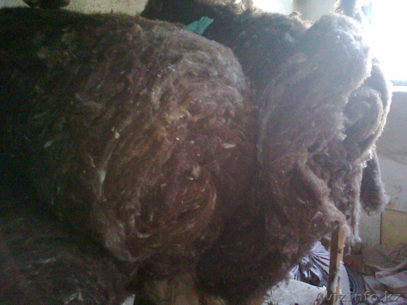 Продам мытую, чесанную овечью шерсть. - Изображение #5, Объявление #737703