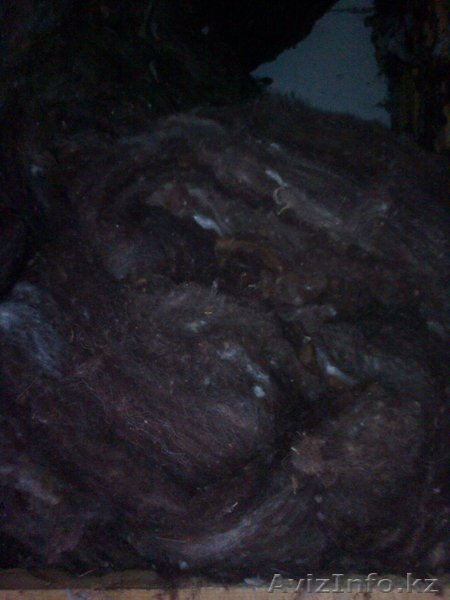 Продам мытую, чесанную овечью шерсть. - Изображение #6, Объявление #737703