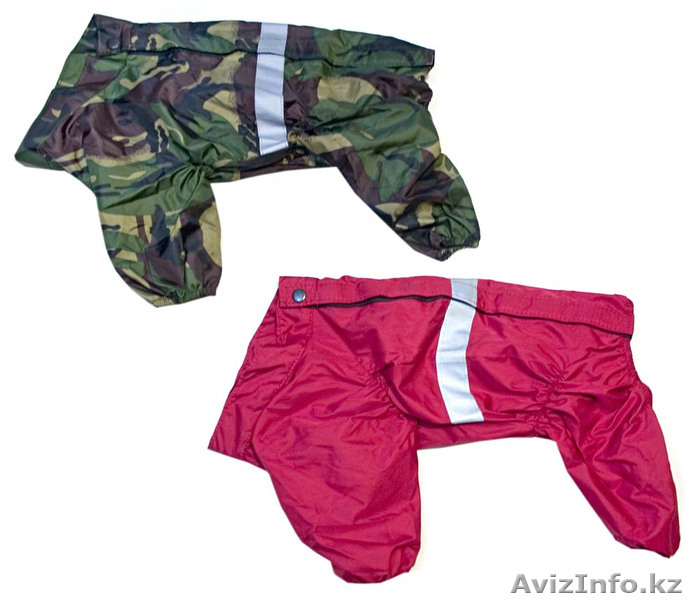 Зоотовары для животных - Изображение #3, Объявление #758883